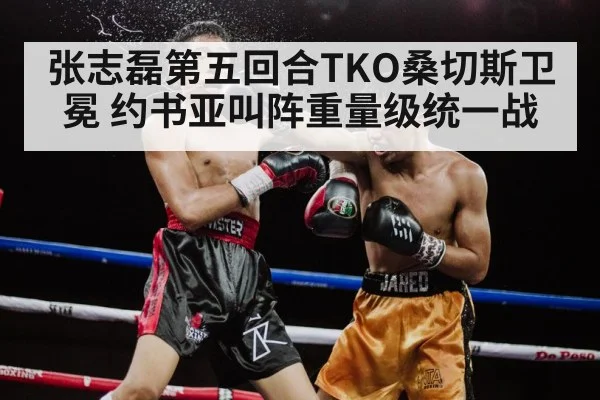 Zhang Zhilei TKO Sanchez